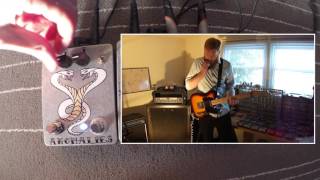 FUZZROCIOUS ANOMALIES Delay - GUITAR