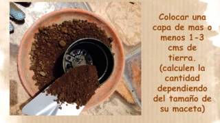 plantado, sustrato casero para acuarios plantados y estanques