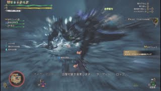 【モンスターハンターワイルズ】☆９　オメガ・プラネテス