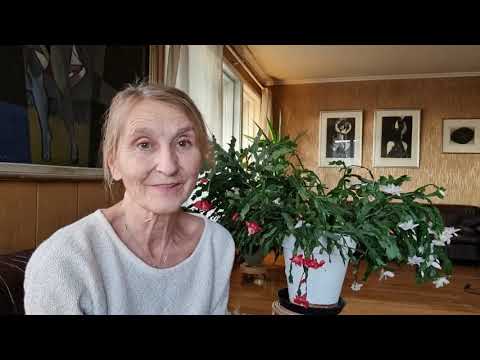 Life, Theatre and my Cactus 🌵 Ep.17