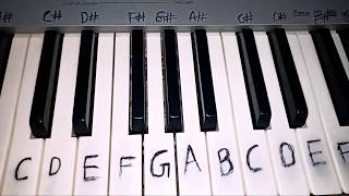 Naina Banjare | Pataakha | Arijit Singh | Vishal Bhardwaj | Gulzar | Easy piano tutorial