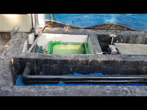 hệ lọc tối ưu dành cho hồ koi