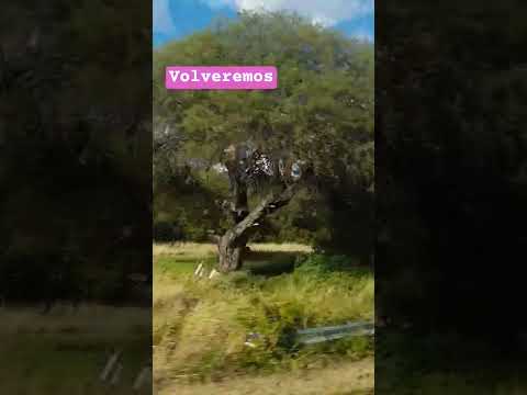 hasta pronto !! #naturaleza #viajar #cordoba#capilladelmonte  #sanmarcossierras