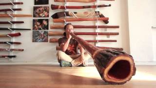 Jesse Lethbridge Didgeridoo (#2551) at Didgeridoo Breath