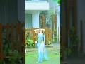 Saree Rain Swmming Goa Love🩵🩵🩵 🩵 🩵