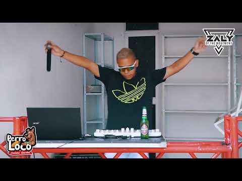 GIBLACK EL MONIGOTE🔥 (la pitica) - [VIDEO - ANIMA DJ CRISTIAN]🦁🙏🎤