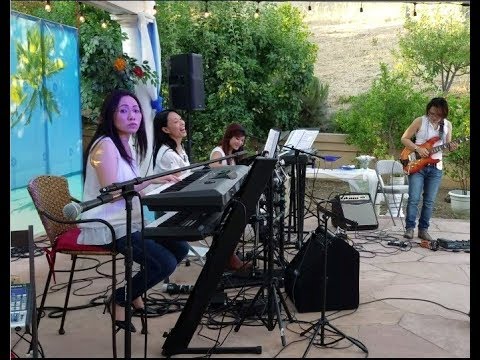 Cant Help Falling In Love - The Sake Band