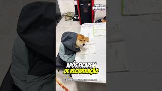 ESSAS CRIANÇAS IMPRESSIONARAM A TODOS COM SUA INTELIGÊNCIA INCRÍVEL