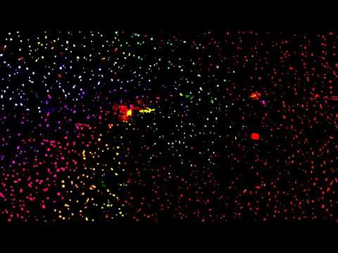 TRAFFIC - WAYN FT KLEIN & B4-KILL (OFFICIAL VISUALIZER)