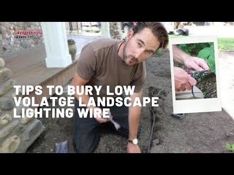 How to Bury Landscape Lighting Wire Tips