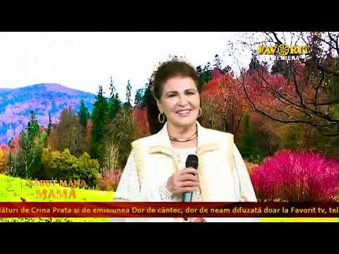 IRINA LOGHIN - See my youth