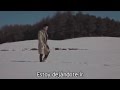 Young Joon (Brown Eyed Soul) - Forget (Español ...