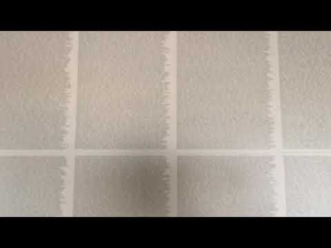 Thanos snap Survivor List