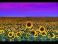 André van Duin - Als de zon schijnt (Zomermix 2009)