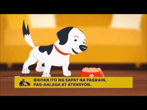 Pisikal na ehersisyo bilang isang paraan upang mawalan ng timbang Kinuha ko L-carnitine para sa pagbaba ng timbang