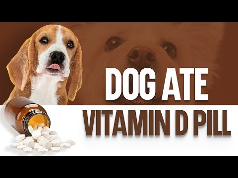 YouTube video about: Will 1000 iu vitamin d hurt my dog?