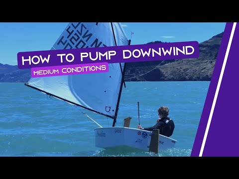 OPTIMIST SAILING - How To Pump Downwind | [Medium Conditions]