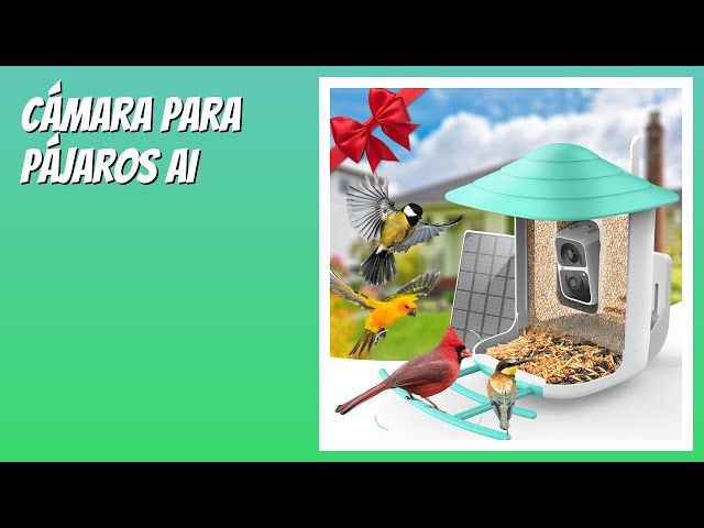 Vídeo relacionado con birdsnap PAV-Comedero para pájaros con cámara, 2K HD con tarjeta de 64 GB, panel solar inteligente de identificación de inteligencia artificial, transmisión en vivo, detección de movimiento, grabación