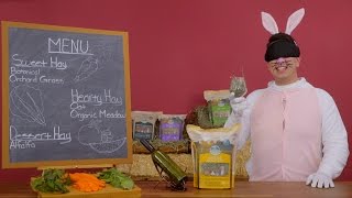 Oxbow Hay | Chewy