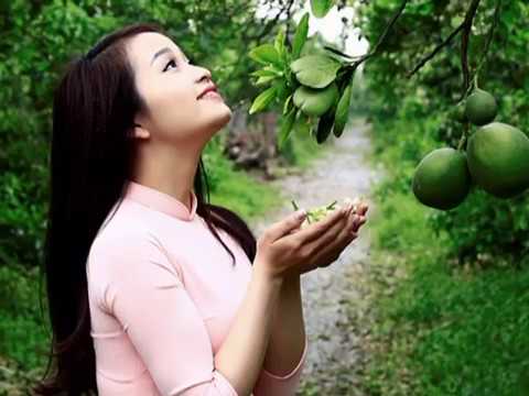 Nhớ Sheet - Ngọc Vân