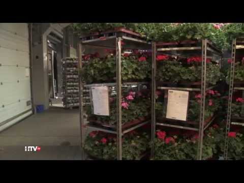 Mercuur Smart Logistics