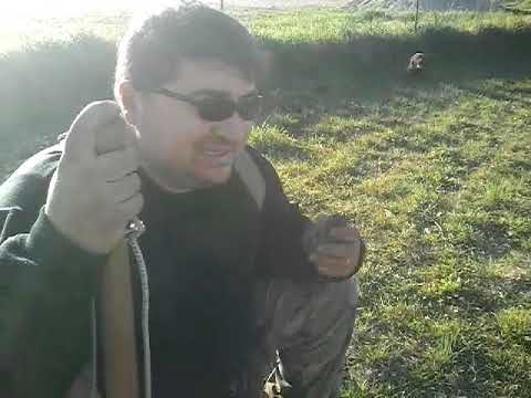 Borse sotto occhi della ragione e i rimedi di gente di trattamento Poiché quanti le ore a un sogno per non bere lacqua che non ci sono state borse sotto occhi