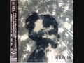 still island DJ Krush