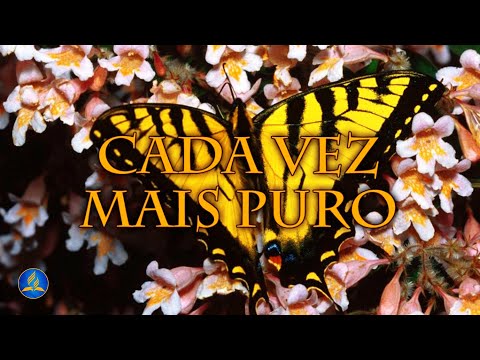 Hinário Adventista 391 - CADA VEZ MAIS PURO
