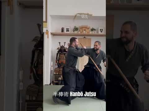 半棒術 Hanbō Jutsu - 武神館武道体術 Bujinkan Budō Taijutsu