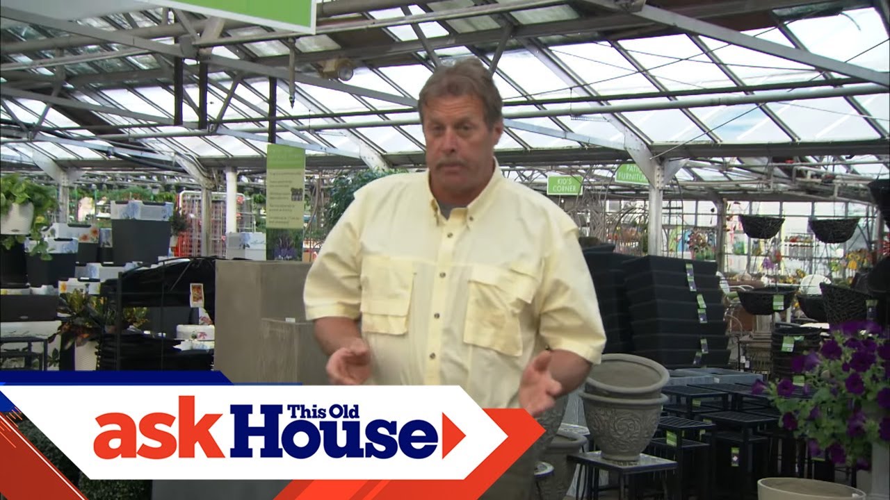 How to Plant Using Large Containers | Ask This Old House