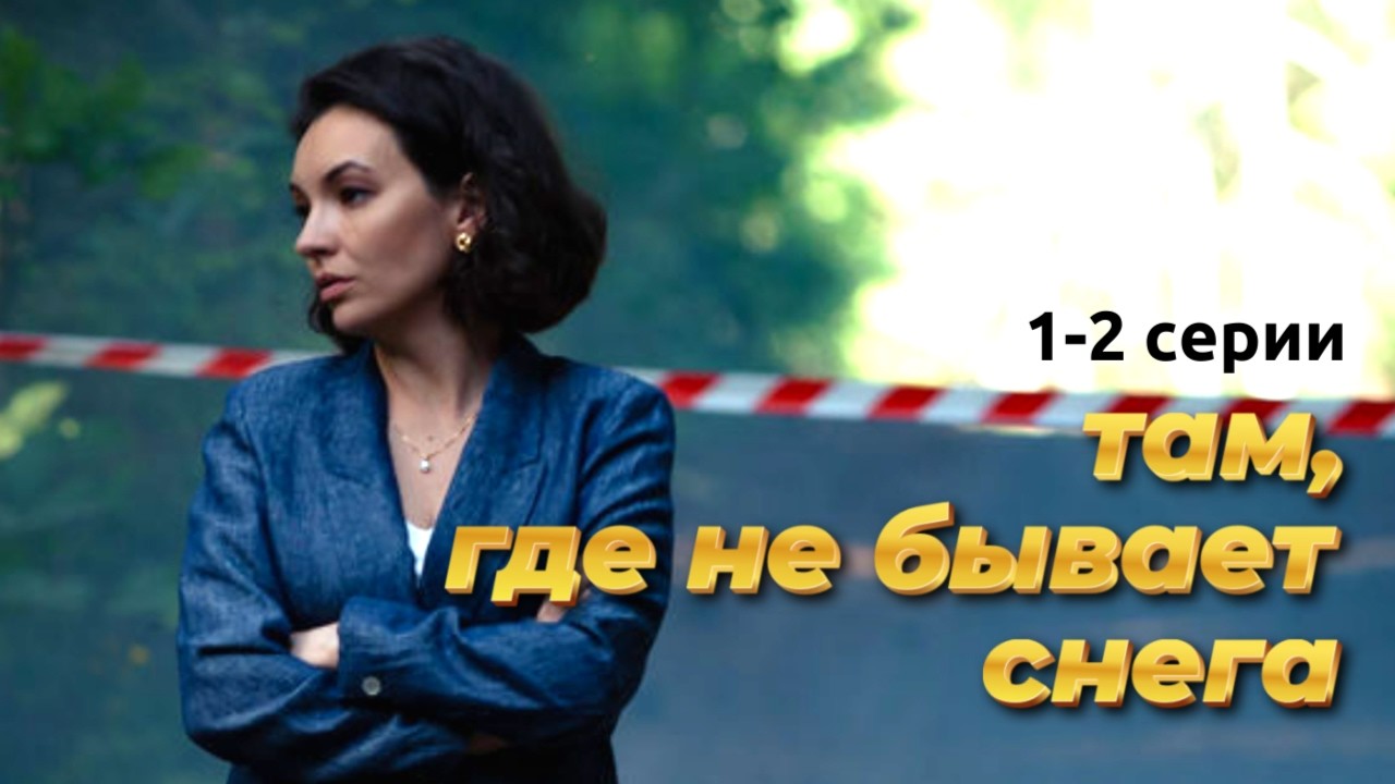 Идеальная жизнь рухнула за одну ночь! // Детектив Платовой "Там, где не бывает снега", 1-2 серии