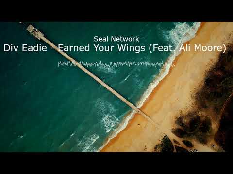 Div Eadie   Earned Your Wings Feat  Ali Moore by Seal Network | No Copyright Music