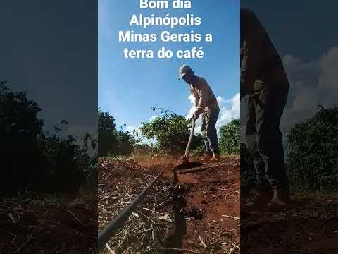 terra do café Alpinópolis Minas Gerais