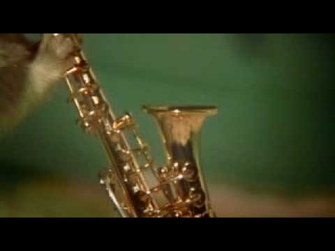 Drench Clever Hamsters TV Ad