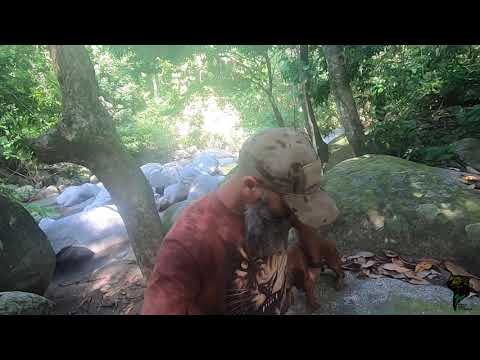 Vedran Bađun i potok u džungli. Prekrasan video za sve koji vole prirodu.