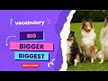 Big Bigger Biggest Comparatives And Superlatives