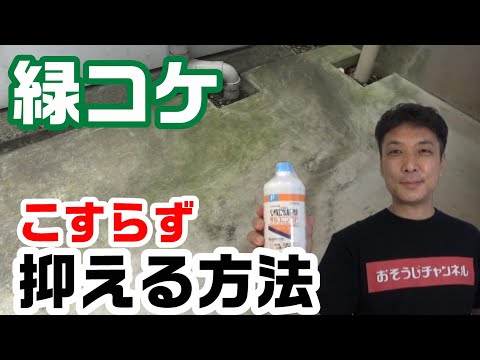 芝生からコケを取り除くにはどうすればよいですか？庭のコケを取り除くための最良のヒント  庭園