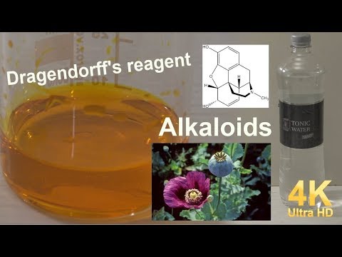 The alkaloids and Dragendorff's reagent