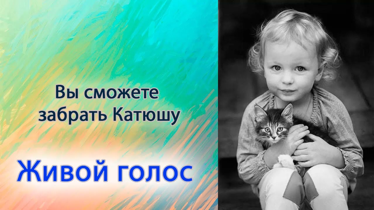 Вы можете забрать Катюшу.
