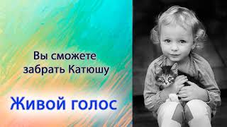Вы можете забрать Катюшу.