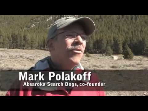 Working dogs: Search and rescue