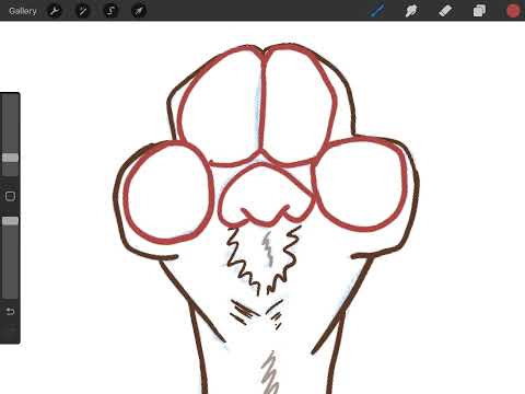 How to draw a paw [ by Embermist ]