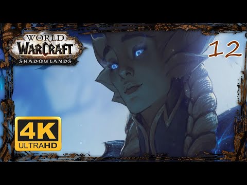 WOW SHADOWLANDS Gameplay Walkthrough 4K ᵁᴴᴰ 60ᶠᵖˢ ✔ | ARDENWEALD STORYLINE EPISODE 3 Full Map