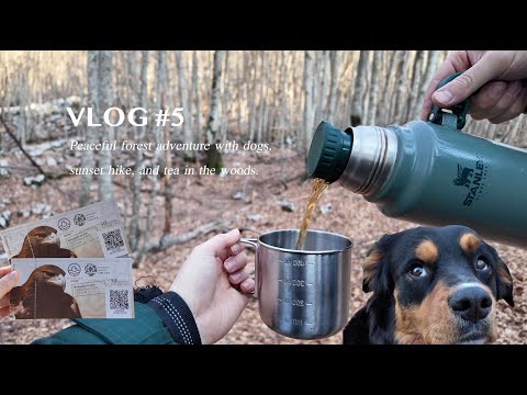 Magical walk in Lovćen National Park, Montenegro. Sunset hike, and tea in the woods.