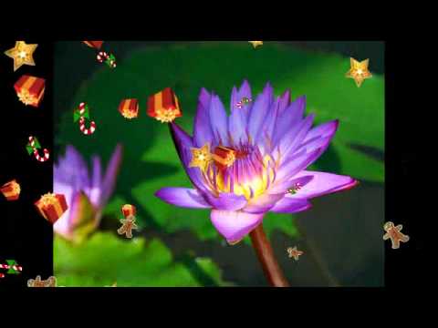 Excellos Five - Rose Marie