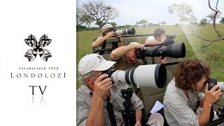preview picture of video 'Specialised Safari Experiences - Londolozi TV'