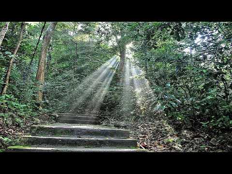 OSR25|14|Singapore|Sabbasawa Sutta|Most Ven Dhammajiva Maha Thero|2010 Nov