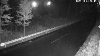 Download the video ""