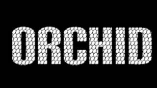 Orchid- The Action Index