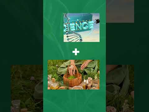 Brahmastra Ayurveda All Cure Keeda Jadi Powder